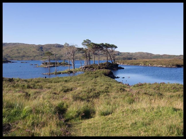 FLoch Assynt_edited-1.jpg